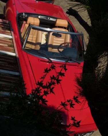 etc_1/car_1/R0060241.jpg 29KB 