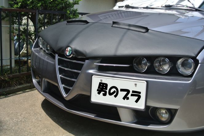 etc_1/car_1/webDsc_5940.jpg 51KB 