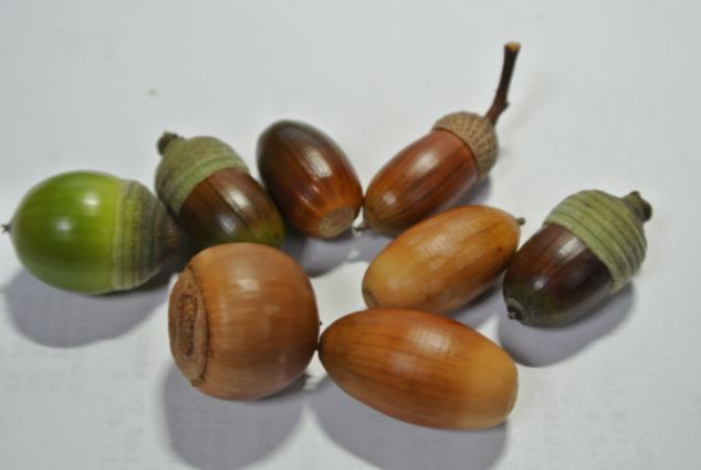 etc_1/etc_1_2/Dsc_0407.jpg 23KB 