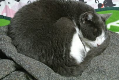 etc_1/etc_1_2/Dsc_2007.jpg 21KB 