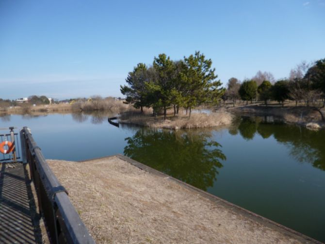 etc_1/etc_1_2/P1060661.jpg 43KB 