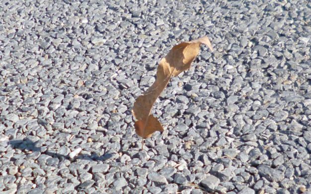 etc_1/etc_1_2/P1060675.jpg 82KB 