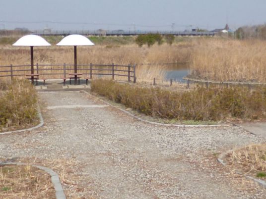 etc_1/etc_1_2/P1060700.jpg 41KB 