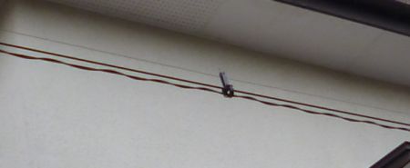 etc_1/etc_1_2/P1060770.jpg 9KB 