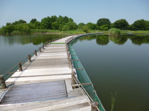 etc_1/etc_1_2/P1060772.jpg 26KB 