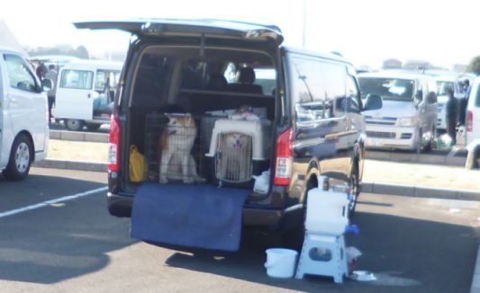 etc_1/etc_1_2/webP1060683.jpg 27KB 