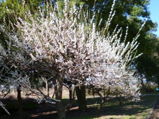 etc_1/etc_1_2/webP1060699.jpg 66KB 