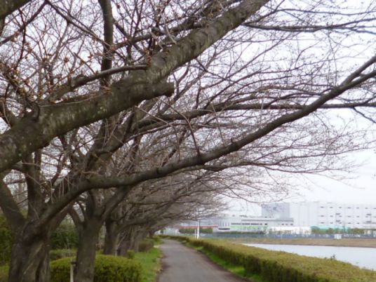 etc_1/etc_1_2/webP1060701.jpg 58KB 