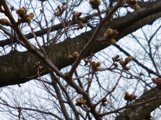 etc_1/etc_1_2/webP1060702.jpg 61KB 