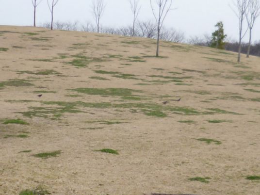 etc_1/etc_1_2/webP1060704.jpg 33KB 