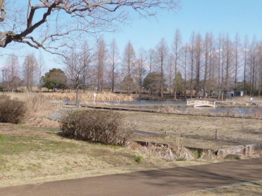 etc_1/etc_1_2/webP1060707.jpg 43KB 