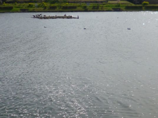 etc_1/etc_1_2/webP1060732.jpg 31KB 