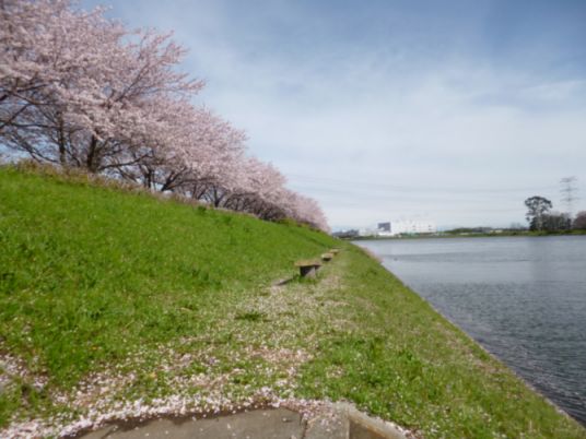 etc_1/etc_1_2/webP1060734.jpg 38KB 