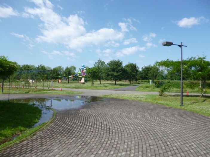 etc_1/etc_1_2/webP1060759.jpg 62KB 