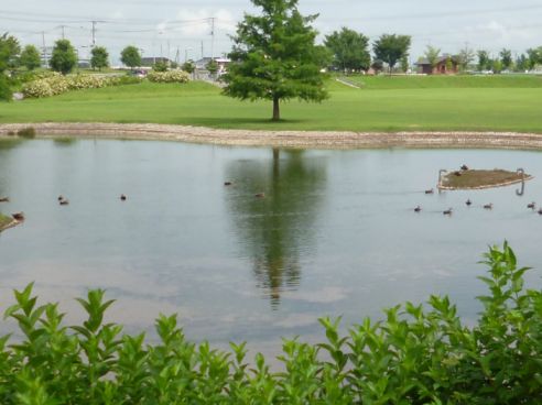 etc_1/etc_1_2/webP1060779.jpg 31KB 