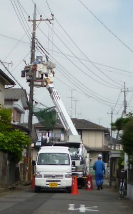 etc_1/etc_1_2/webP1060781.jpg 21KB 