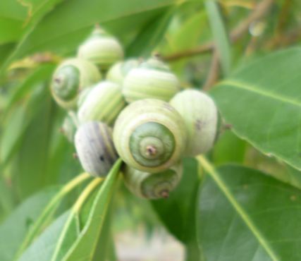 etc_1/webP1060441.jpg 19KB 