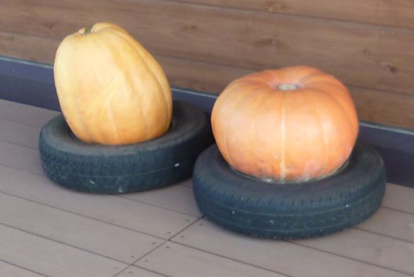 etc_1/webP1060444.jpg 22KB 