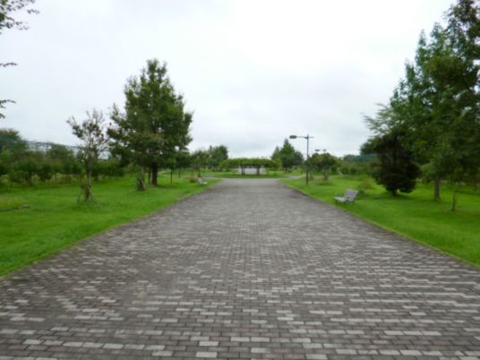 etc_1/webP1060445.jpg 33KB 