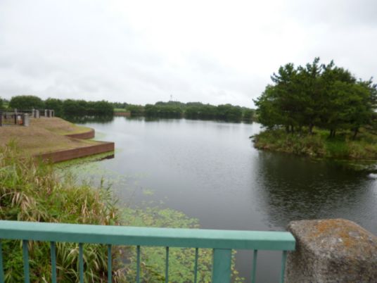 etc_1/webP1060446.jpg 28KB 